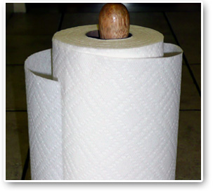 Paper Kitchen Towels, folded towels, held coiled, Paper towels, kitchen roll
